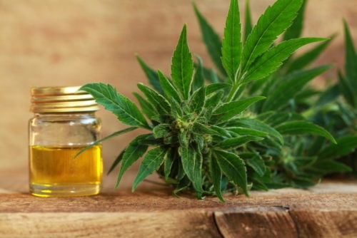 Buy CBD Oil Morgantown 
      WV 26502